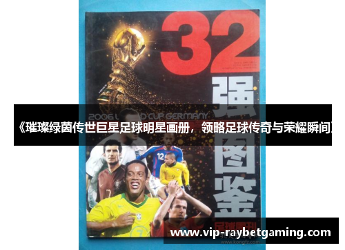 《璀璨绿茵传世巨星足球明星画册，领略足球传奇与荣耀瞬间》