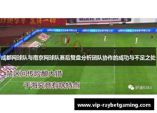 成都网球队与南京网球队赛后复盘分析团队协作的成功与不足之处
